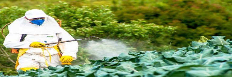 170313-un-pesticides-1-768x255